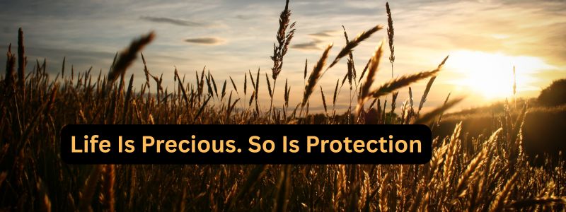 Life is Precious. So Is Protection